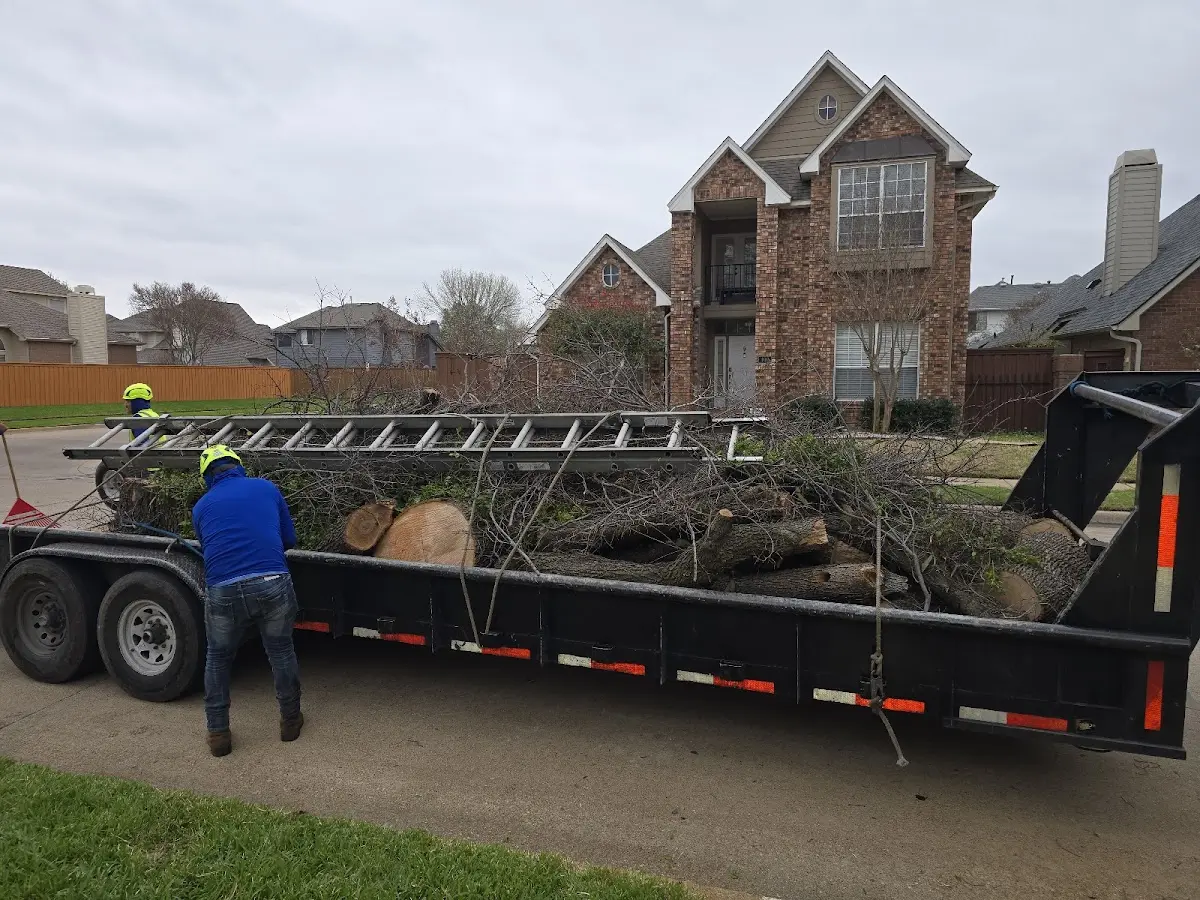 Expert Tree Fertilization with proper safety equipment in Blanch
